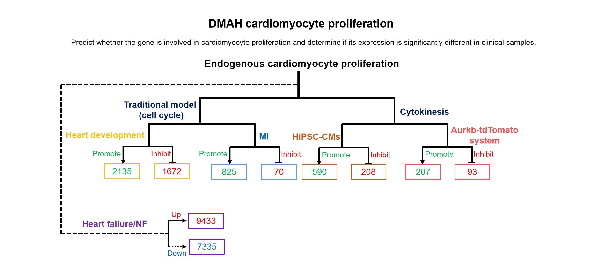 Gene Expression Analysis Diagram